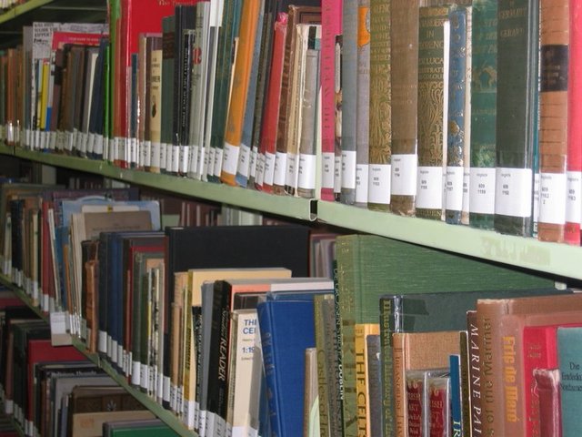 Riapertura Biblioteca Civica dal 18 maggio